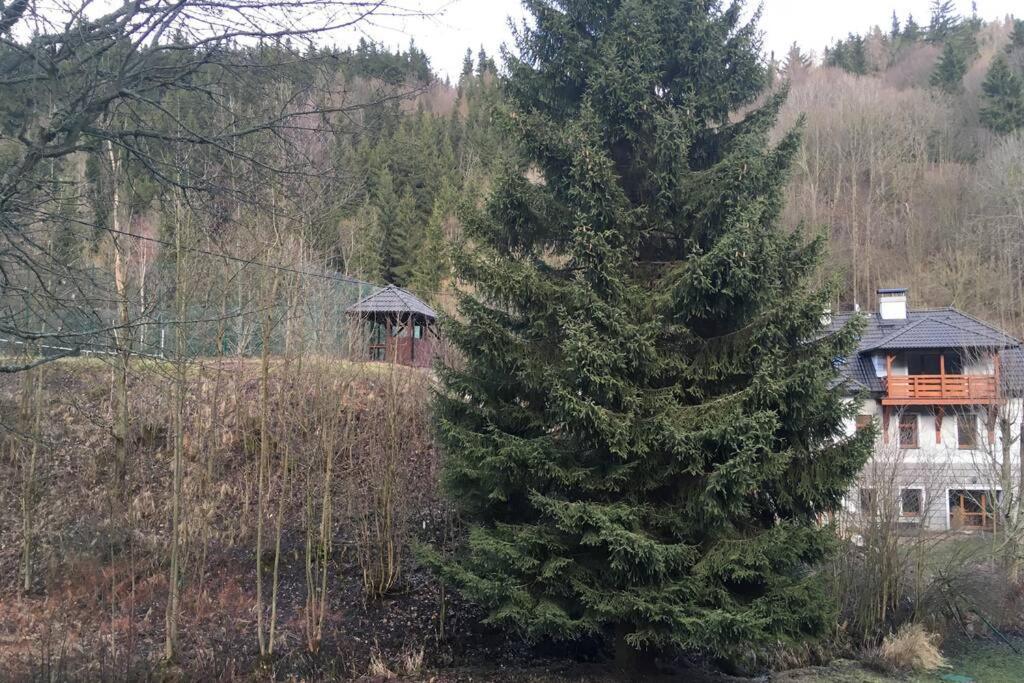 Villa Vykmanov Medenec Екстер'єр фото
